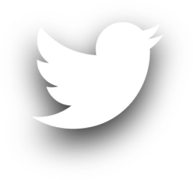 Logo Twitter